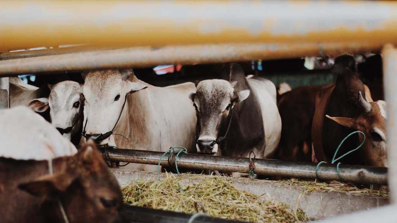 104 – Espiritualidade no Ambiente de Trabalho – Fazendo uma Diferença – Parte VI