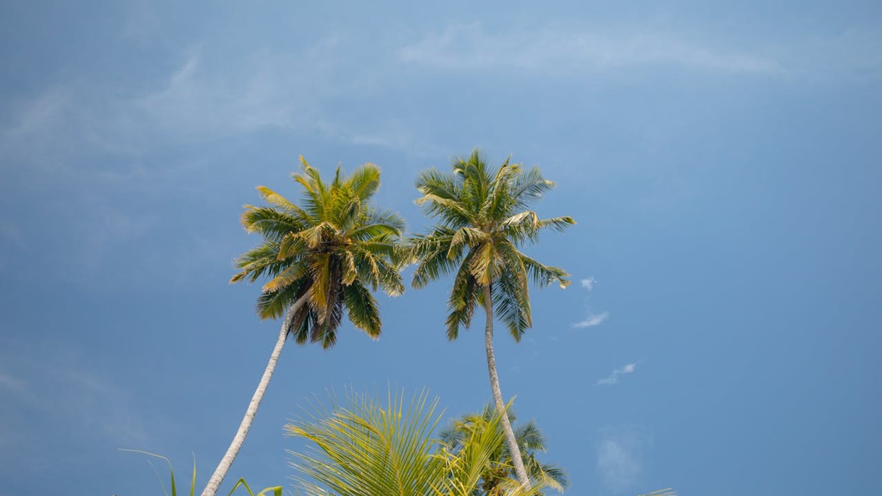 185 – As Duas Almas do Homem e as Provas Que Existem Duas Ao Invés de Uma